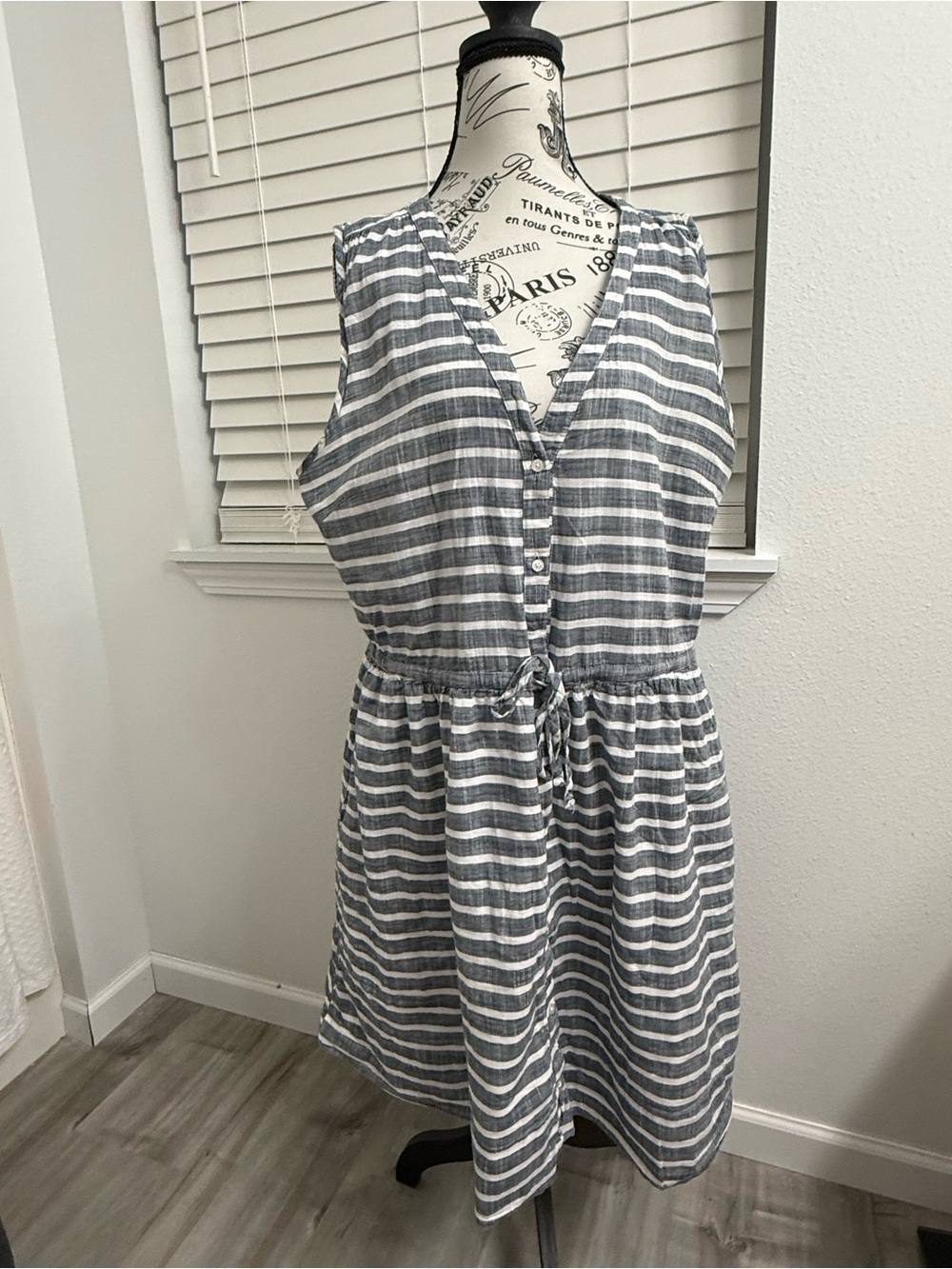 GAP Blue and White Striped Sleeveless Dress